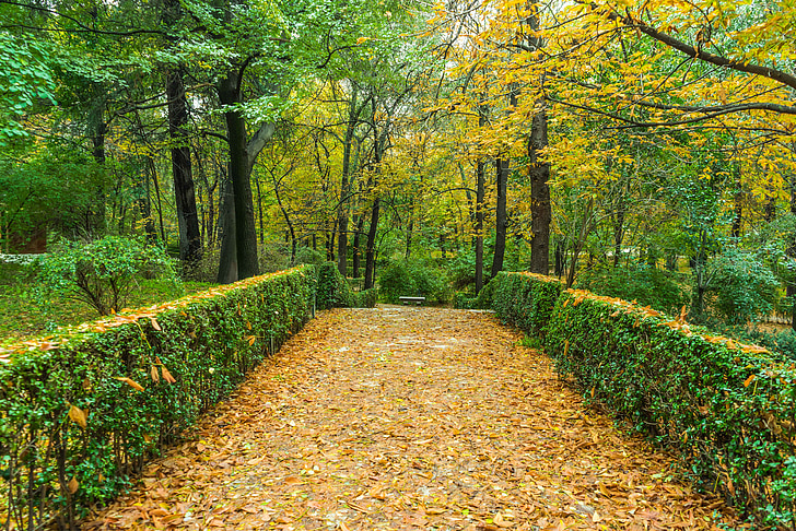 Seasonal Cleanup
